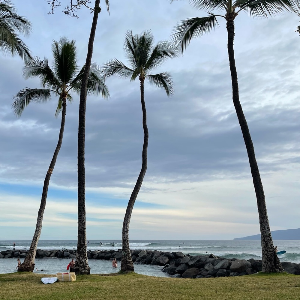 Aloha, I’m Katherine